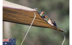 Gordigear Dachzelt Plus Für 3 Personen Mit Staufläche 165 X 320 Cm Grün 10 Gordigear Dachzelt Plus Für 3 Personen Mit Staufläche 165 X 320 Cm Grün -Outwell || High Peak || Robens Verkaufsgeschäft 737351 4968530